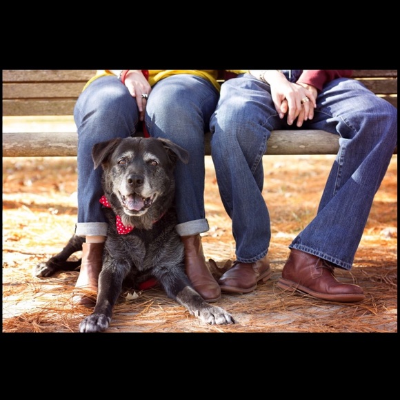 Meet your Posher, Iris - Picture 2 of 6